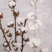 ALFOMBRA COTTON BOLLS LORENA CANALS