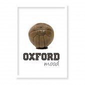 CUADRO OXFORD