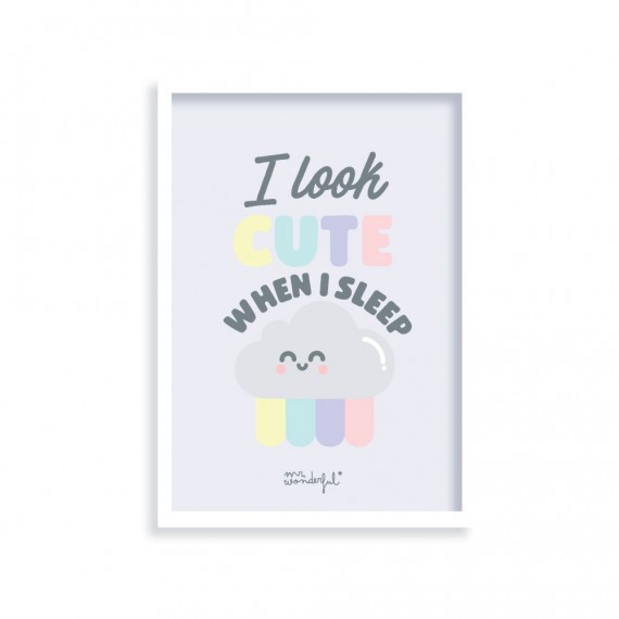 CUADRO CUTE MR WONDERFUL